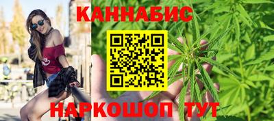 гидра Ачхой-Мартан