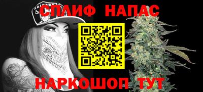 гидра Ачхой-Мартан